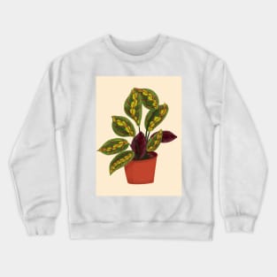 Prayer Plant Crewneck Sweatshirt